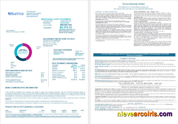 USA California BlueVine bank mortgage loan statement, 4 pages 1-2